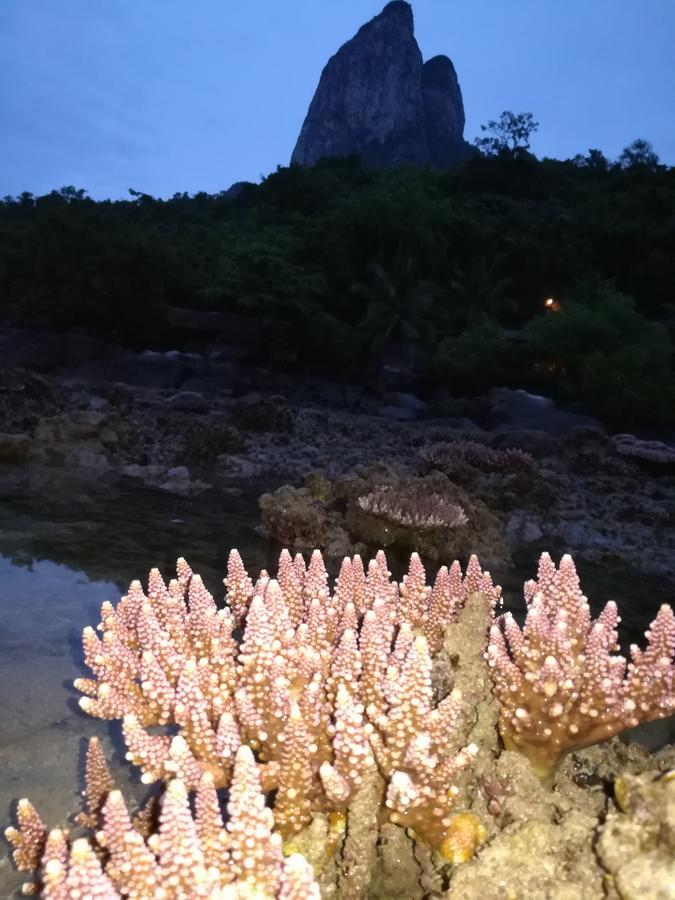 Simukut Place Kampong Pasir Sanang Burong Екстер'єр фото